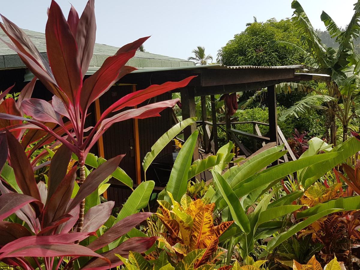 Hibiscus Valley Inn Marigot المظهر الخارجي الصورة