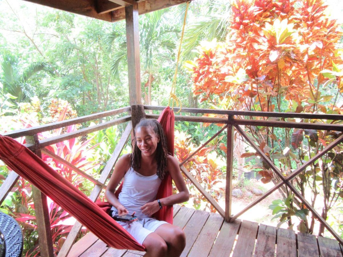 Hibiscus Valley Inn Marigot المظهر الخارجي الصورة