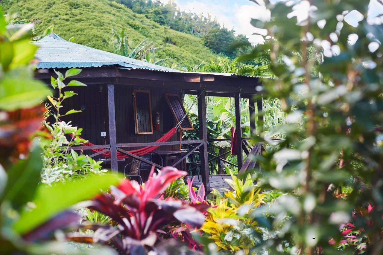 Hibiscus Valley Inn Marigot المظهر الخارجي الصورة
