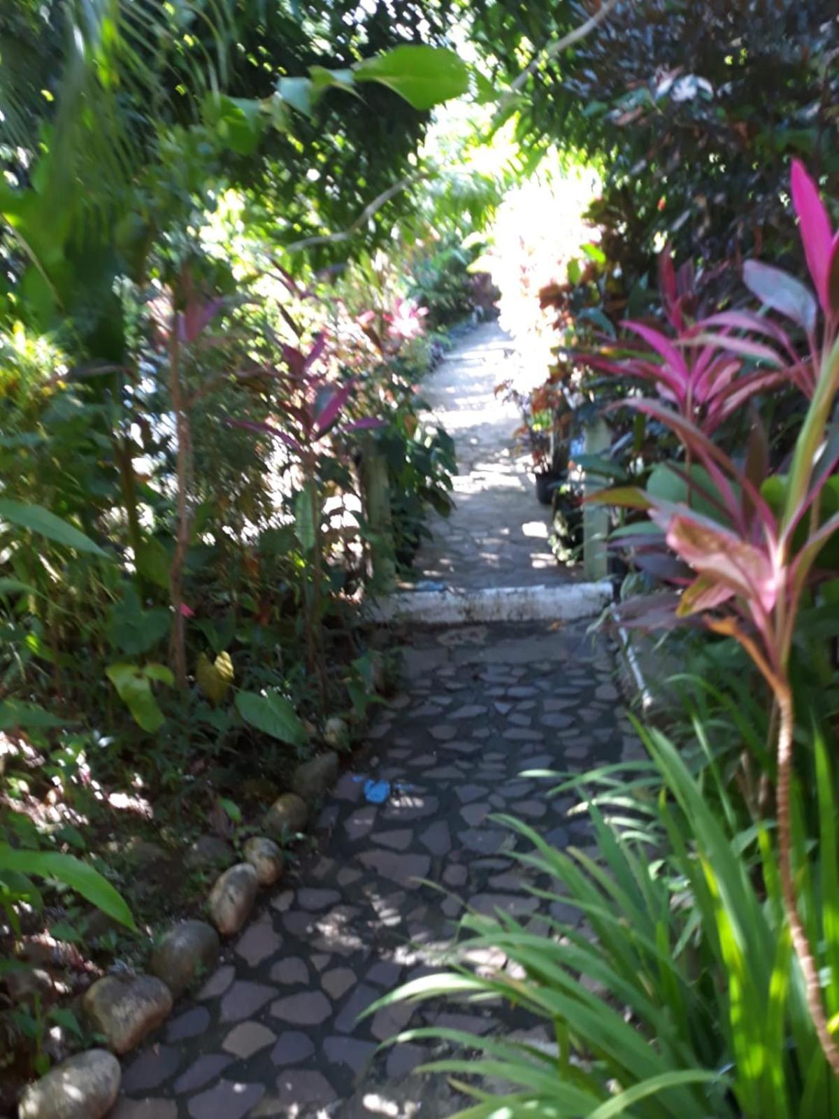 Hibiscus Valley Inn Marigot المظهر الخارجي الصورة