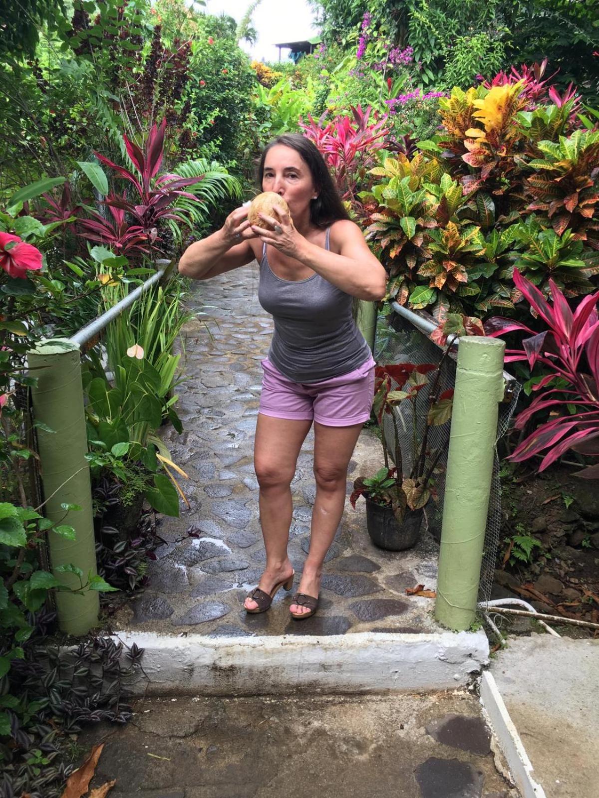 Hibiscus Valley Inn Marigot المظهر الخارجي الصورة
