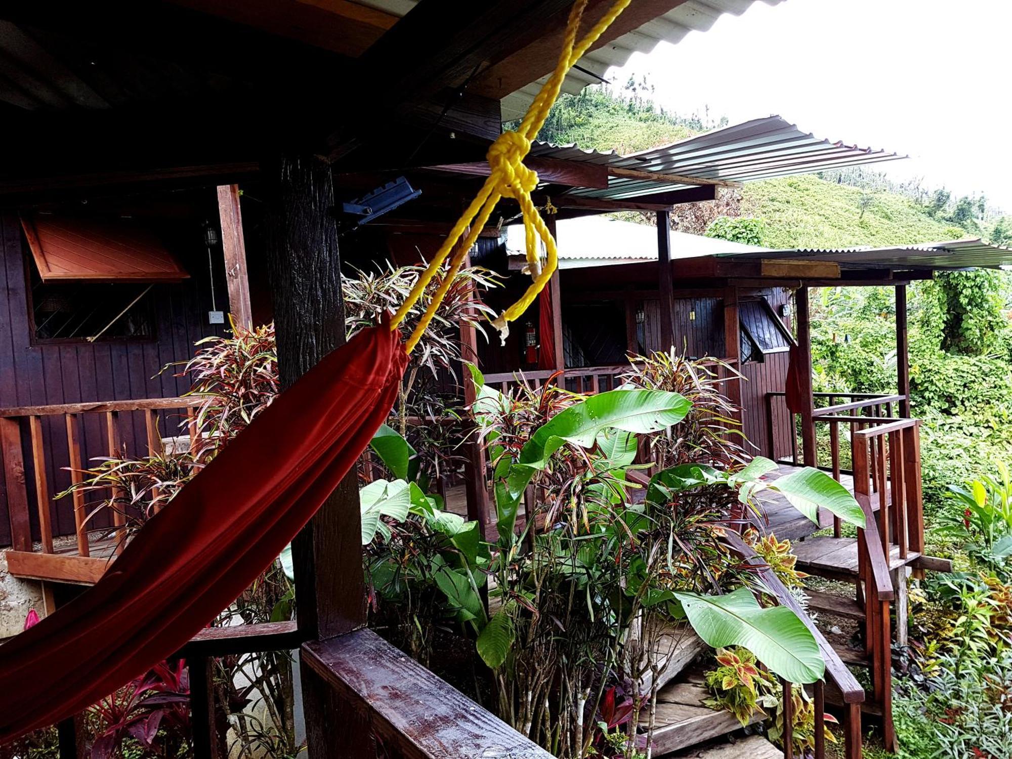 Hibiscus Valley Inn Marigot المظهر الخارجي الصورة