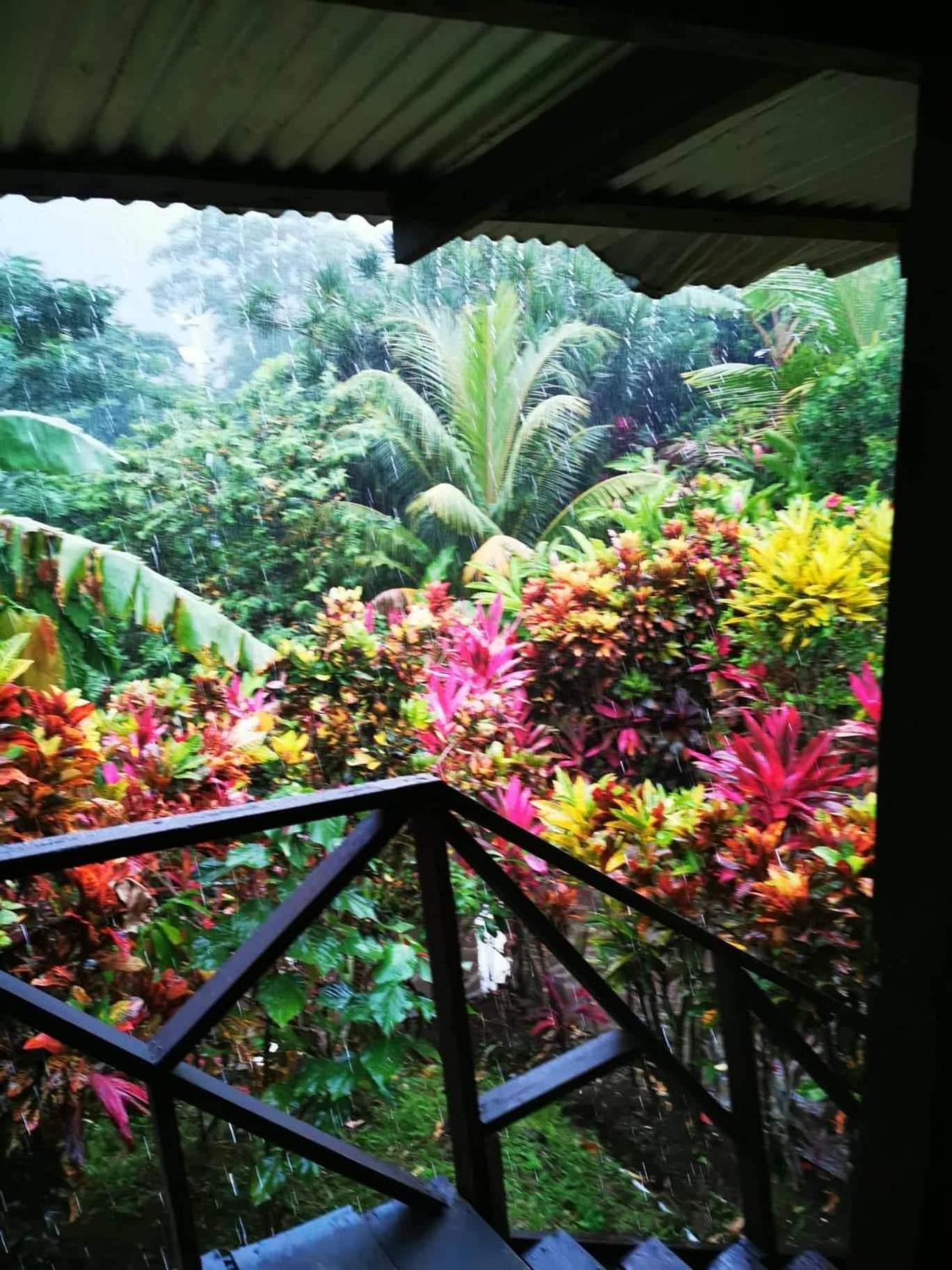 Hibiscus Valley Inn Marigot المظهر الخارجي الصورة