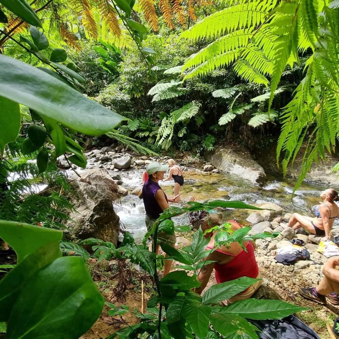 Hibiscus Valley Inn Marigot المظهر الخارجي الصورة