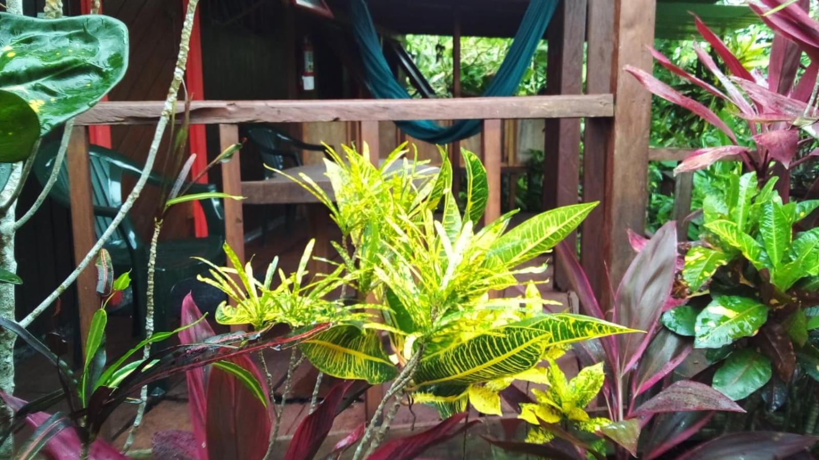 Hibiscus Valley Inn Marigot المظهر الخارجي الصورة