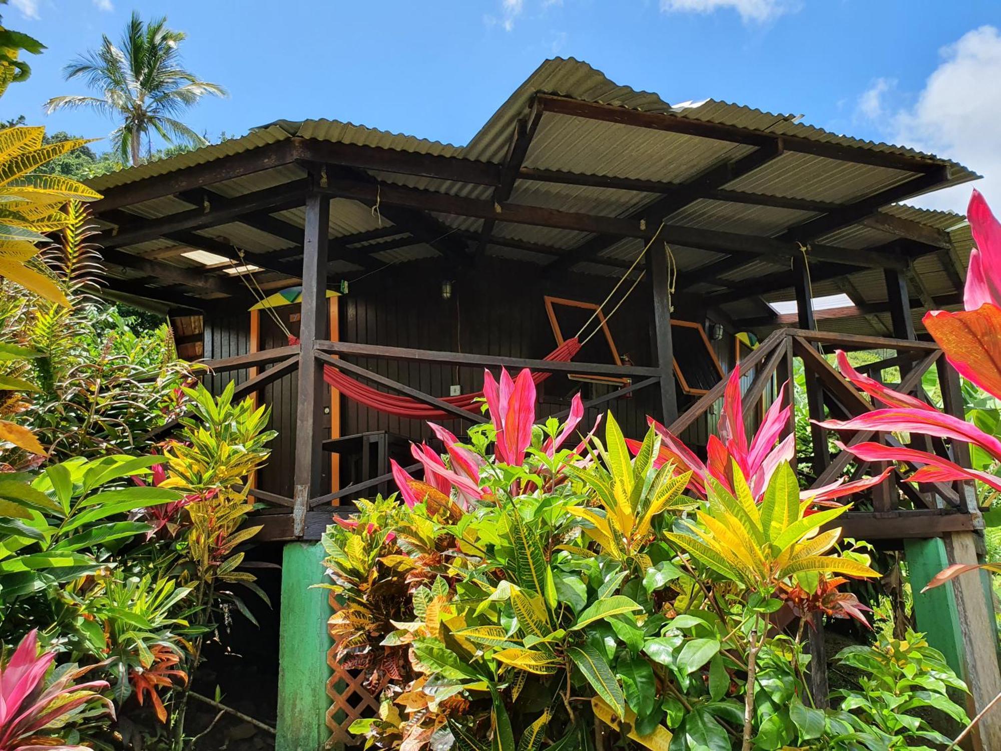 Hibiscus Valley Inn Marigot المظهر الخارجي الصورة