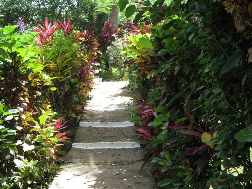Hibiscus Valley Inn Marigot الغرفة الصورة
