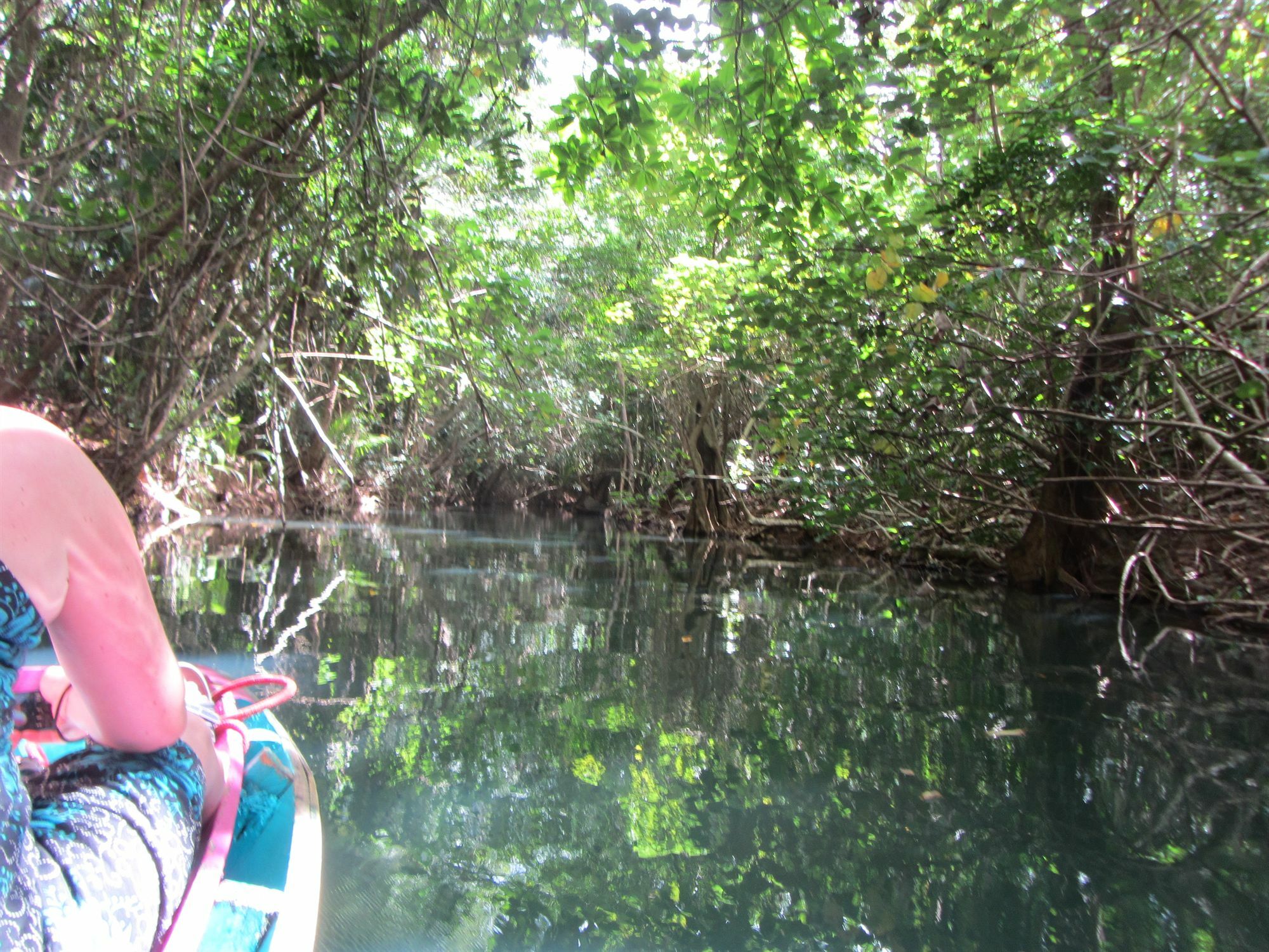 Hibiscus Valley Inn Marigot المظهر الخارجي الصورة