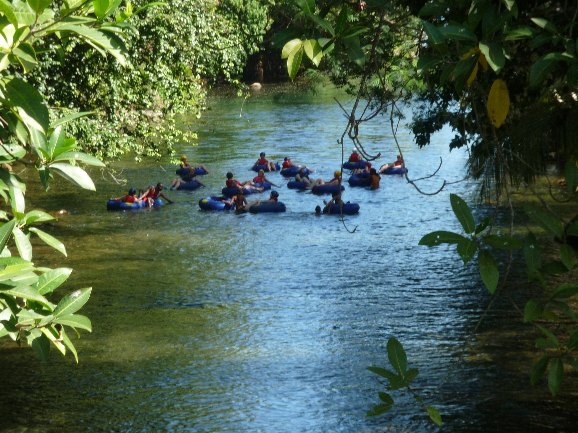 Hibiscus Valley Inn Marigot المظهر الخارجي الصورة