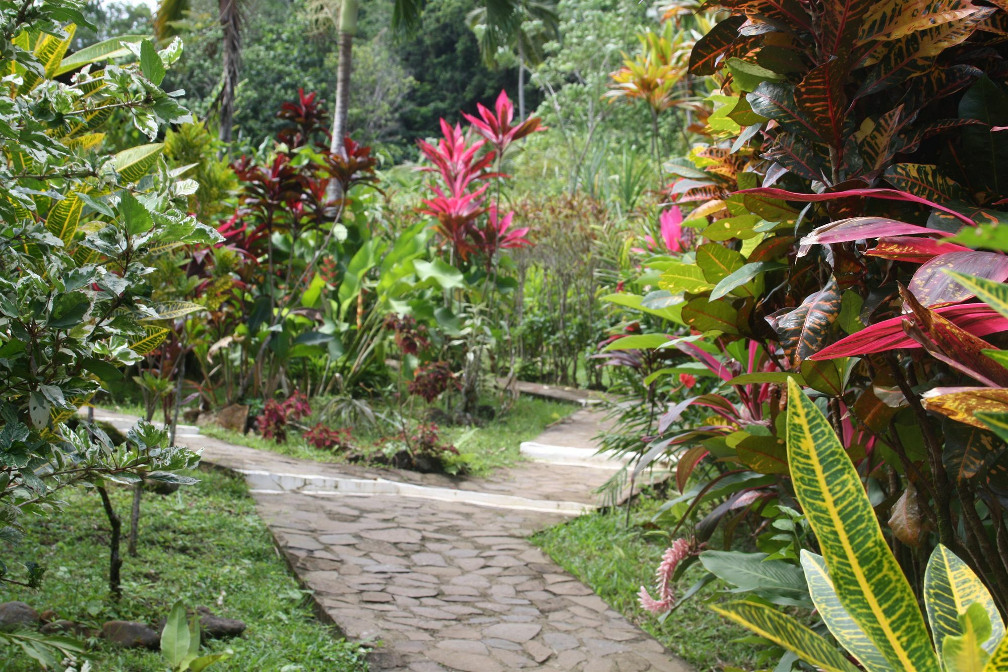 Hibiscus Valley Inn Marigot المظهر الخارجي الصورة