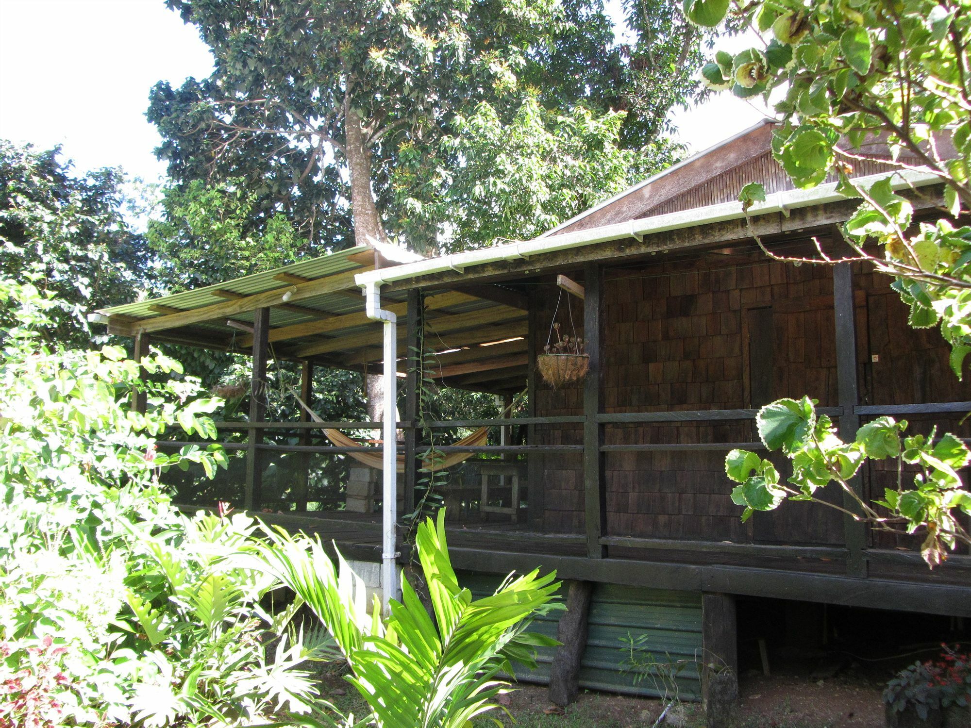 Hibiscus Valley Inn Marigot المظهر الخارجي الصورة